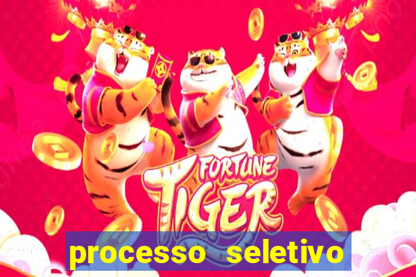 processo seletivo cerejeiras 2024